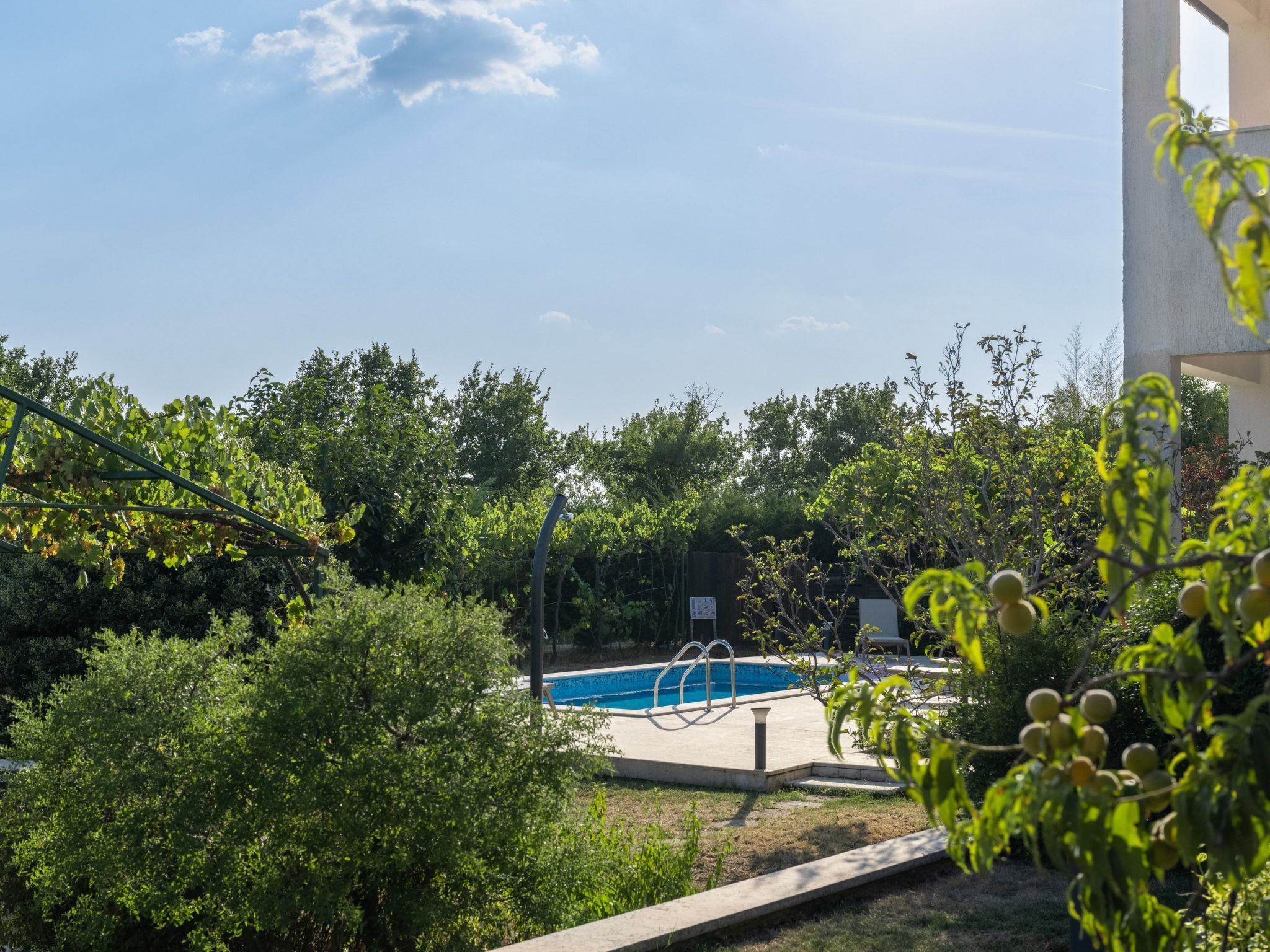 A swimming pool surrounded by lush greenery, with a clear sky above.