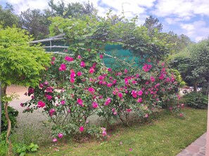 Property grounds - Valmonida by Interhome (Cere)