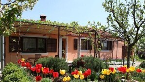 Ein Haus mit einem Garten, der rote und gelbe Tulpen zeigt.