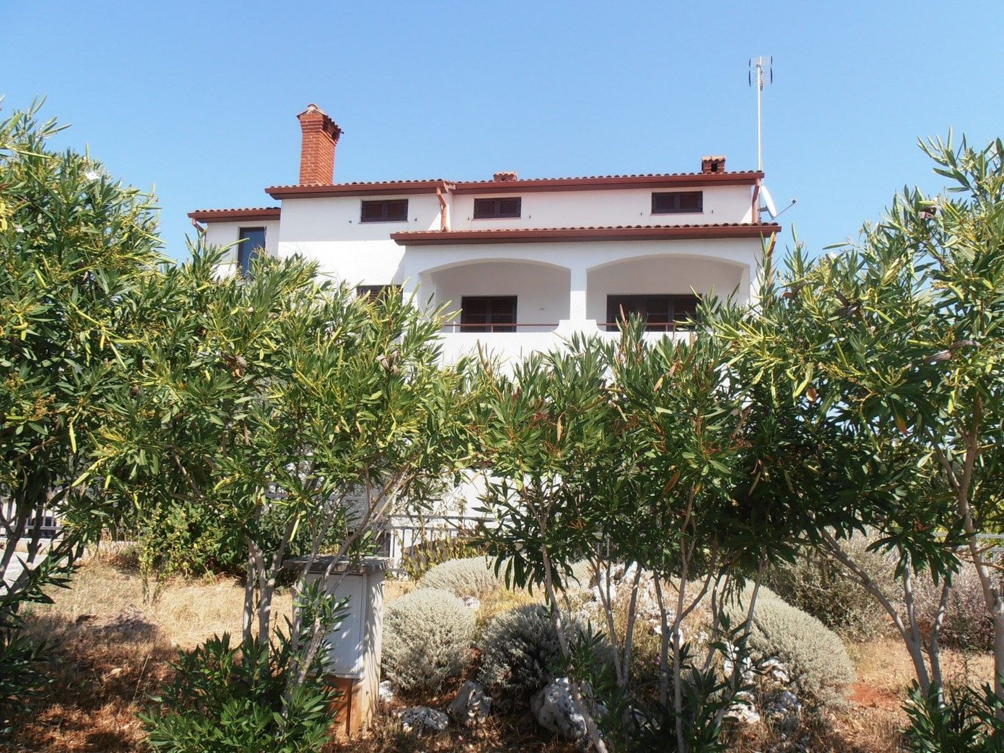 A two-story building with a white facade and red-tiled roof, surrounded by olive trees and dry shrubs.