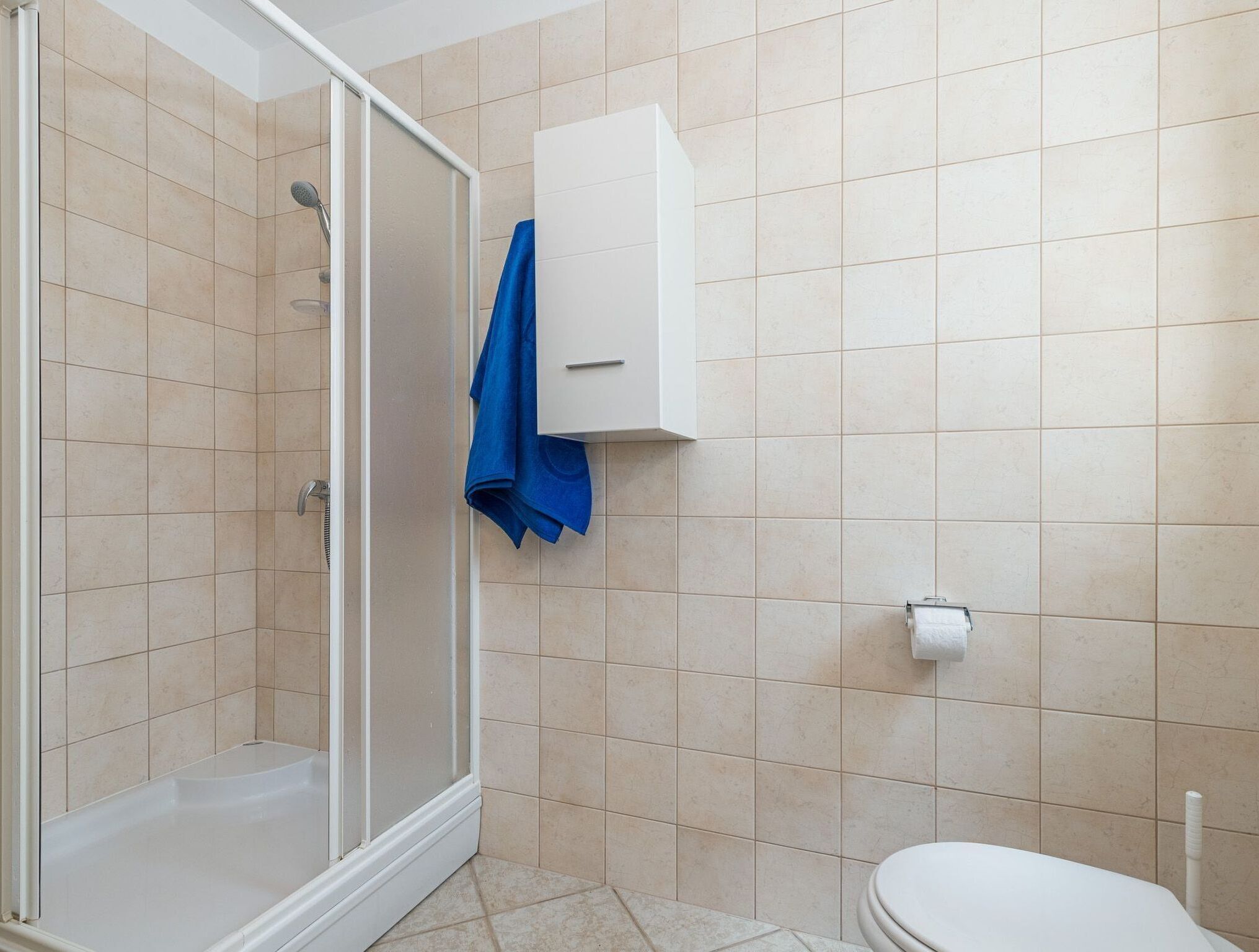 A bathroom with a glass-enclosed shower, a white toilet, and a towel rack with a blue towel.