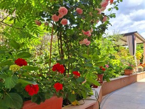 Property grounds - Schöne Wohnung Funtana Nr.3 by Interhome (Poreč/Funtana)
