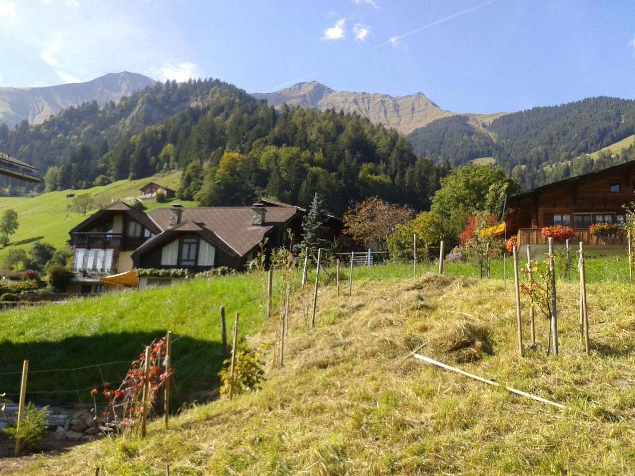 Un paysage rural avec des maisons traditionnelles en bois, un champ verdoyant et des montagnes en arrière-plan.