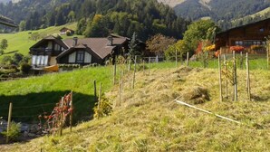 A rural landscape with traditional wooden houses, a grassy field, and mountains in the background.