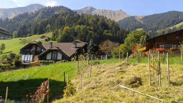 Un paysage rural avec des maisons traditionnelles en bois, un champ verdoyant et des montagnes en arrière-plan.