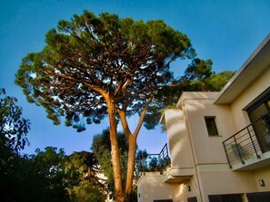 Property grounds - Mascotte Gartenhaus by Interhome (Cannes)