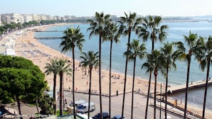 Ein Strand mit Palmen, einer Promenade und einer Stadtkulisse im Hintergrund.
