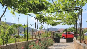 A vineyard with a stone pathway, a red car parked by the gate, and a view of the hills in the background. - Apartment Neda by Interhome (Vinišće)