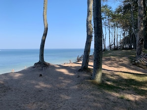 A beach with sand, trees, and a clear sky.