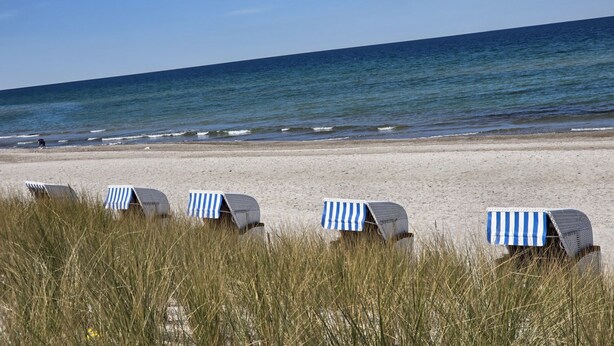 Strandstolar med randiga solskydd på en sandstrand, med havet i bakgrunden.