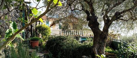 Terrein van de accommodatie