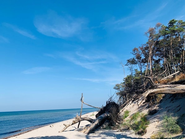 Beach - Wohnung 5 by Interhome (Ahrenshoop)