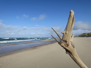 Beach - Apartment Fewo 2 by Interhome (Ahrenshoop)