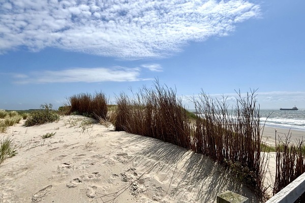 Environnement Naturel, Horizon, Écorégion, Le Sable, Plage, Côte, Cotiers Et Relief Océaniques, Rive, Mer, Océan