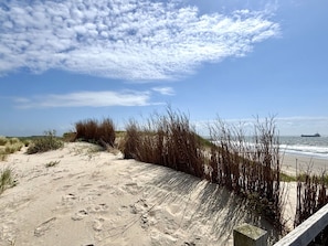 Een zandstrand met schaarse begroeiing en een schip in de verte.
