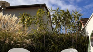 Two white plastic chairs in a sandy outdoor area with bamboo plants and a building in the background. - Stormy im Nauticum by Interhome (Ostseebad Lubmin)