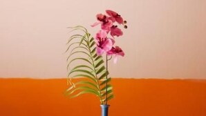 Ein Tisch mit einer blauen Vase, gefüllt mit rosafarbenen Blüten und grünen Blättern, steht auf einer weißen Tischdecke.