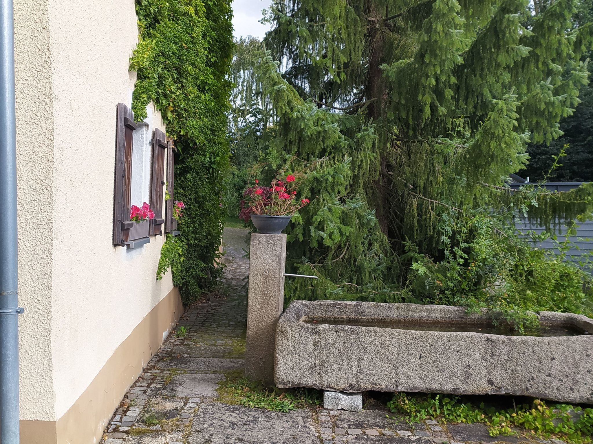 Enceinte de l’hébergement