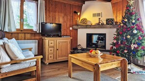 A cozy living room with wooden walls and ceiling, a fireplace, a television, a Christmas tree, and a sofa. - Wonderful private villa for 6 guests with WIFI, TV, terrace and pets allowed (Basse-nendaz)