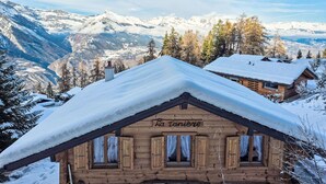 A wooden chalet with a snow-covered roof, named "La Taniere," surrounded by snow-covered mountains and trees. - Wonderful private villa for 6 guests with WIFI, TV, terrace and pets allowed (Basse-nendaz)