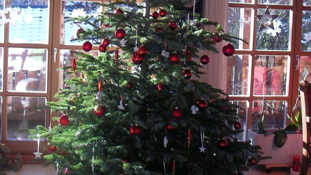 A Christmas tree with red ornaments in a room with wooden beams and large windows.