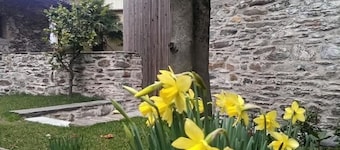 Corte delle Camelie - Wohnung im Erdgeschoss by Interhome