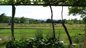 A covered outdoor area with a stone planter filled with greenery, a pergola overhead, and a view of a vineyard in the background. - Charmantes Ferienhaus in Bartići mit Terrasse by Interhome (Drenje)