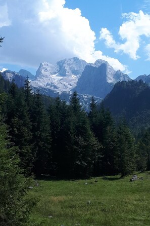 Un paisaje montañoso con bosques densos y cumbres nevadas bajo un cielo despejado.