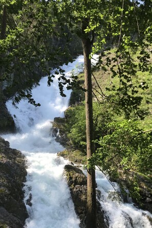 Una cascada rodeada de abundante vegetación.