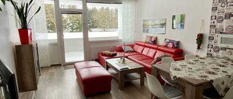 Fernseher, DVD-Player