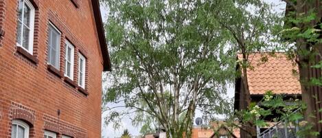 المنطقة المحيطة بالمنشأة