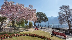 A park with cherry blossoms, benches, a lake, and mountains in the background. - Casa Rena by Interhome (Ascona)