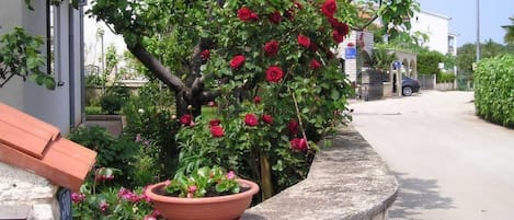 A stone wall with a potted plant and a tree with red flowers.