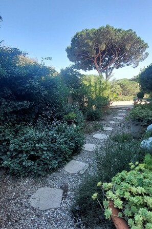 Property grounds - Der Meereswind by Interhome (Sainte Maxime)