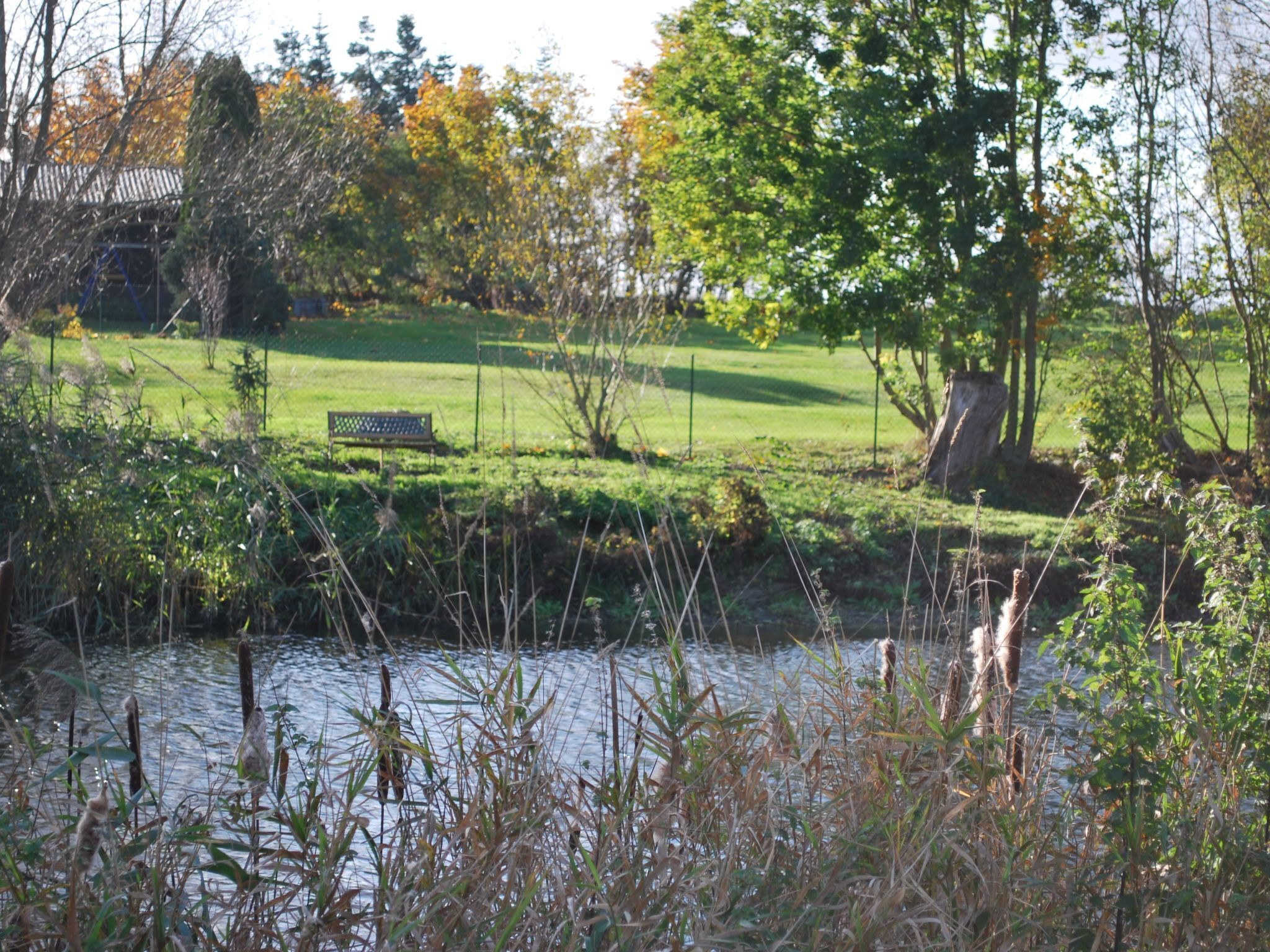 Parco della struttura