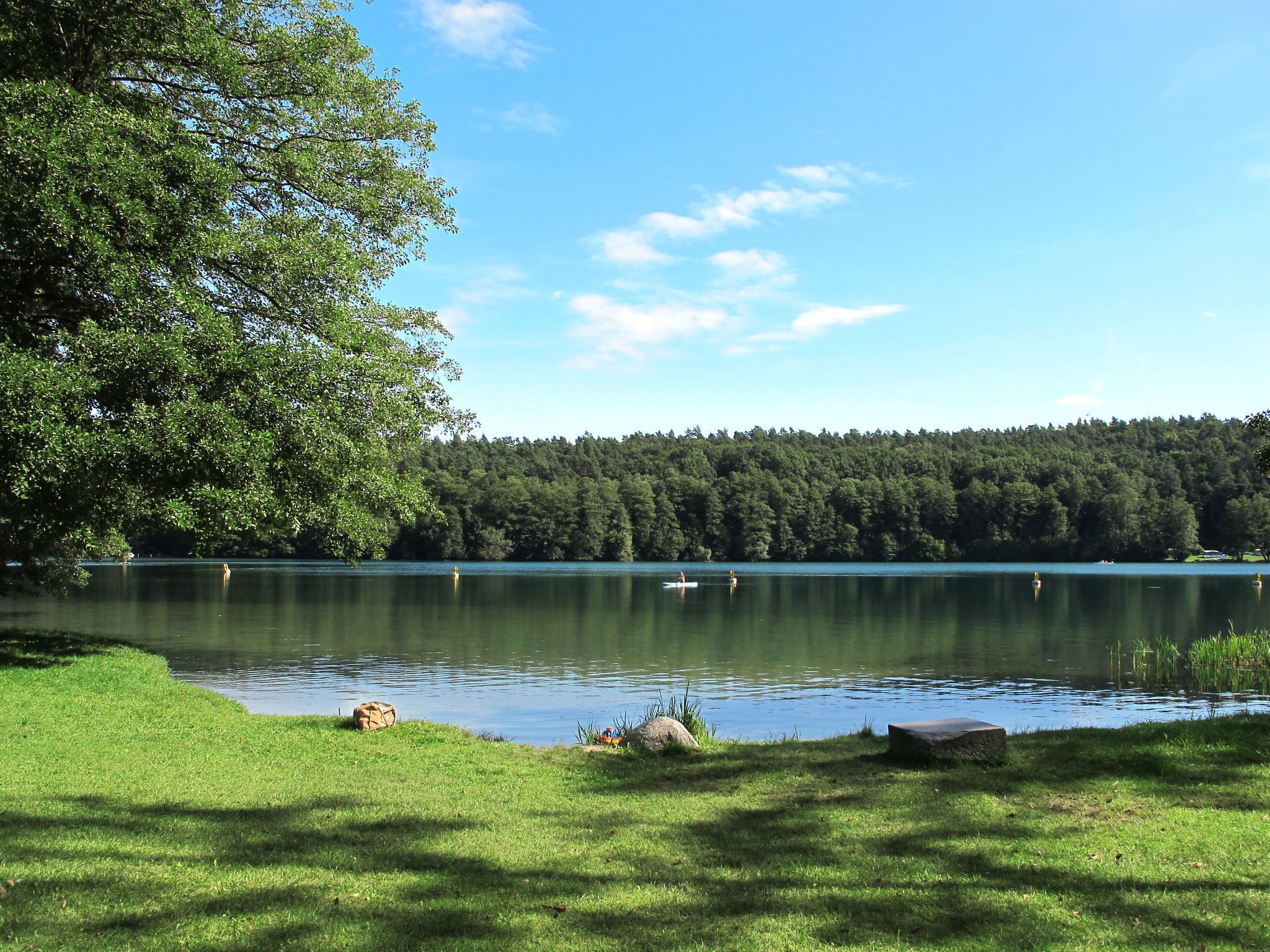 A serene lakeside setting with a grassy area, a large tree, and a forested hill in the background.