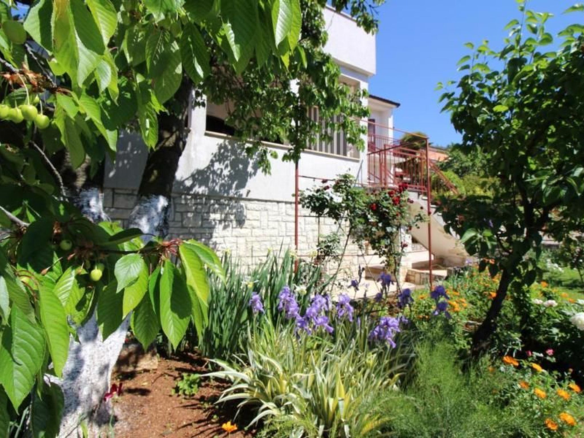 Terrein van de accommodatie