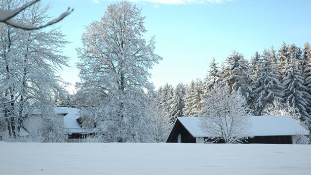Paesaggio innevato con una baita di legno e alberi ricoperti di neve.