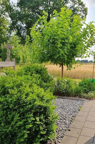 Im Grünen by Interhome