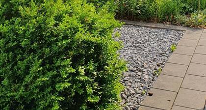 Im Grünen by Interhome