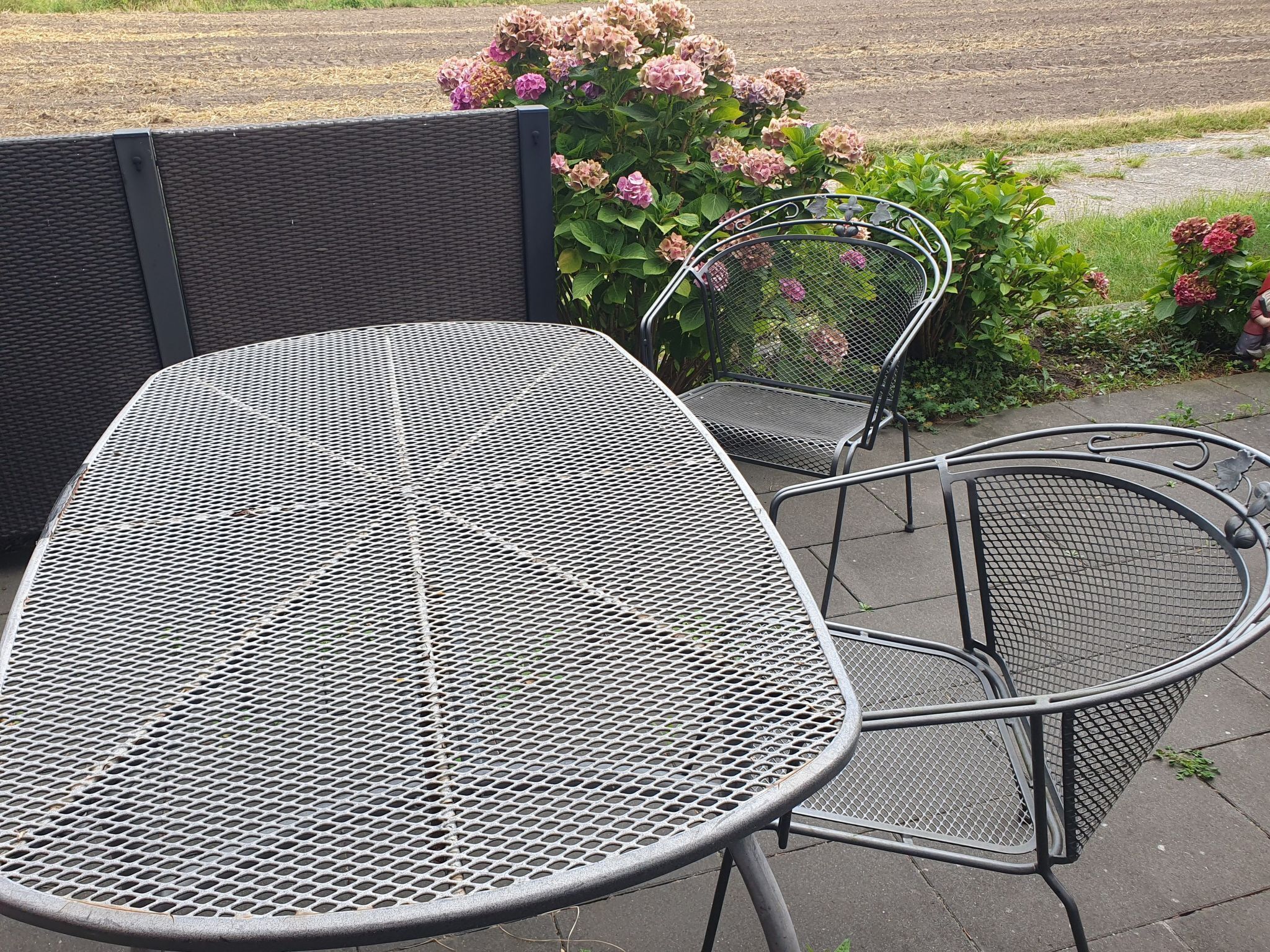 Een metalen buitentafel met stoelen en een gaasstructuur, geplaatst op een verhard terras met een tuin en bloemen op de achtergrond.
