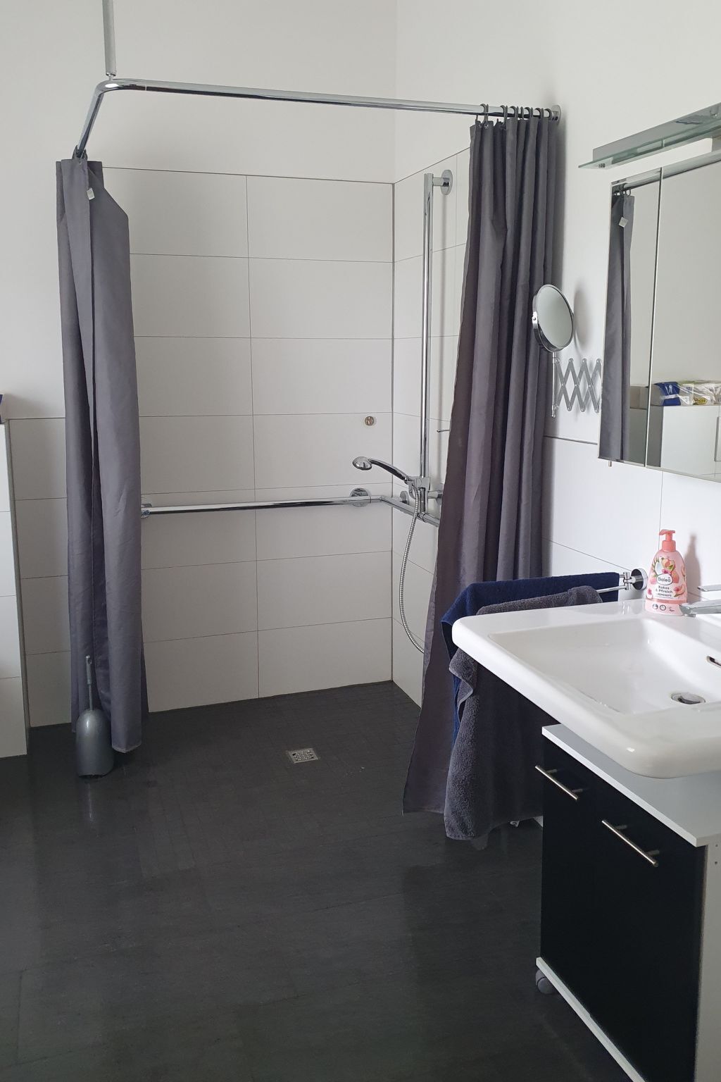 A modern bathroom with a shower, a sink, and a mirror.