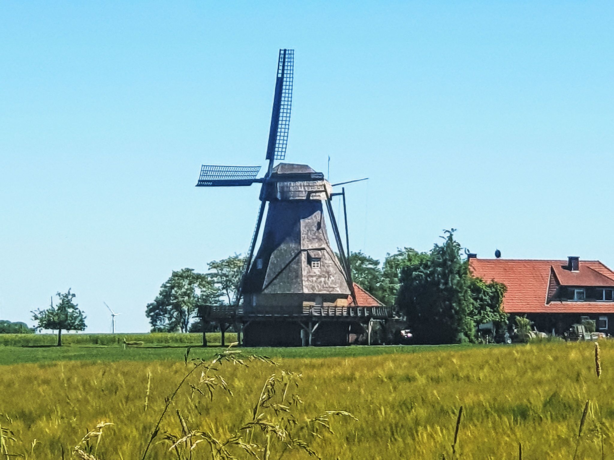 Un molino de viento en un campo, con un edificio de techo rojo al fondo.
