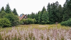 Paisaje rural con una casa de madera, un bosque denso y un campo de hierbas altas.