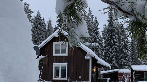 Une cabane en bois, dont le toit est recouvert de neige, et devant laquelle un chien est allongé dans la neige.