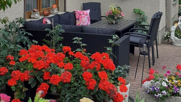 Um pátio com um sofá preto para área externa, uma mesa de jantar e cadeiras. Há flores vermelhas e diversos vasos de plantas.