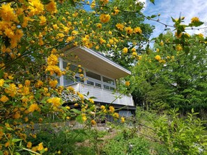 Una casa de dos pisos con balcón, rodeada de abundante follaje y flores amarillas.