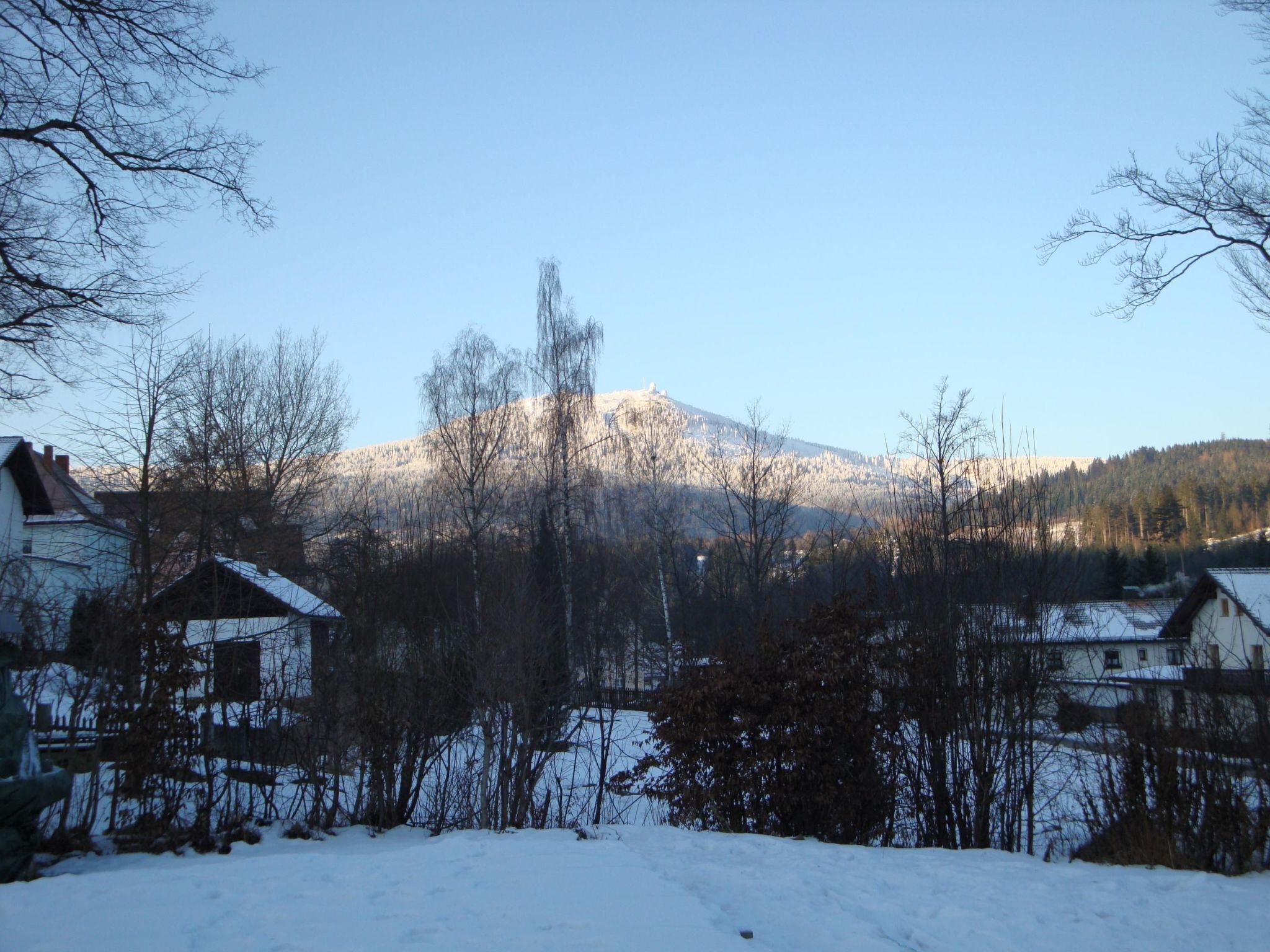 Un paysage enneigé avec une montagne en arrière-plan, des maisons au premier plan et des arbres sans feuilles.
