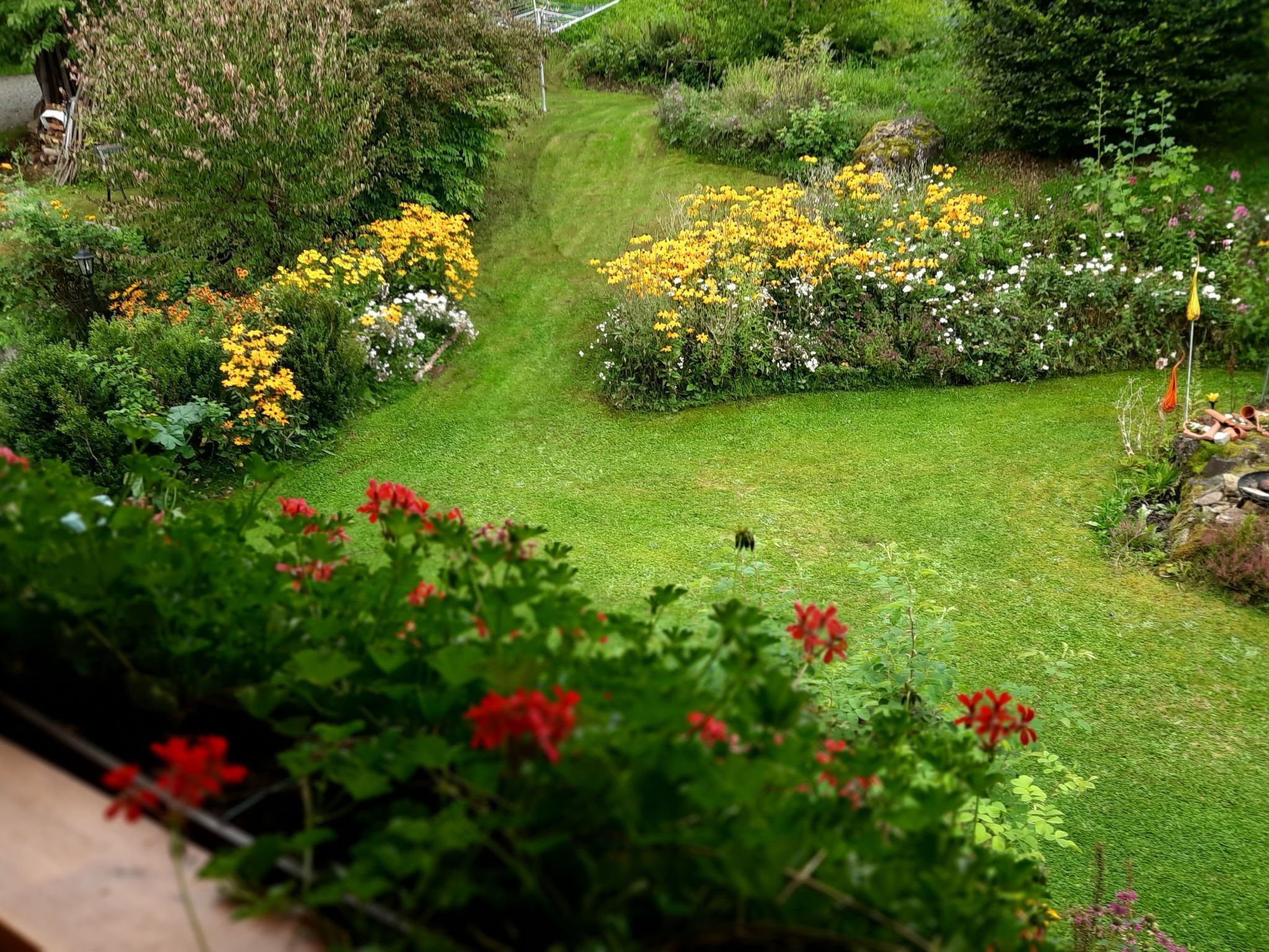 Ein üppiger Garten mit verschiedenen Blumen und einem gepflegten Rasen.