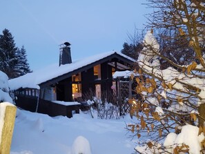 Exterior - Amselnest by Interhome (Allendorf)